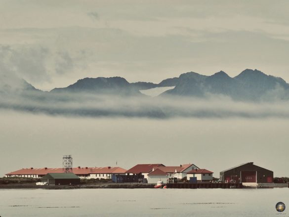 South Georgia Grytviken Südgeorgien - Sea Spirit Antarktisreise