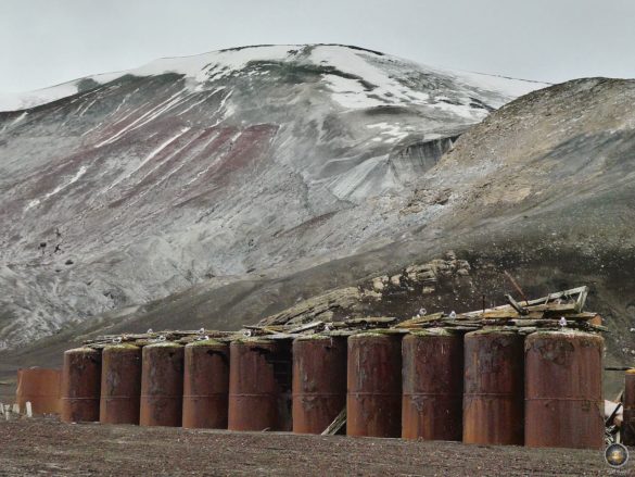 Alte Tanks der einst südlichsten Tran-Kocherei auf Süd-Shetland.