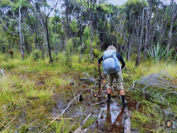 Anspruchsvolle Route mit moorigen Böden auf Stewart Island beim Trekking.