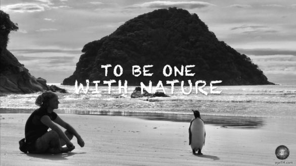Königspinguin und Wanderer schließen Freundschaft am Strand von Stewart Island in Neuseeland - Magazine.Travel Reisemagazin Philosophie und Kooperation