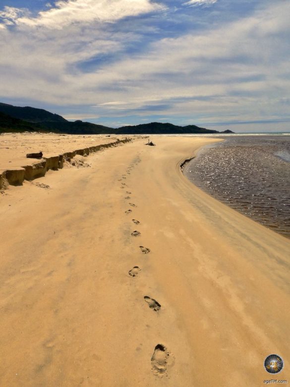 Spuren im Sand - Wander-Urlaub auf Stewart Island Rakiura Trekking Neuseeland