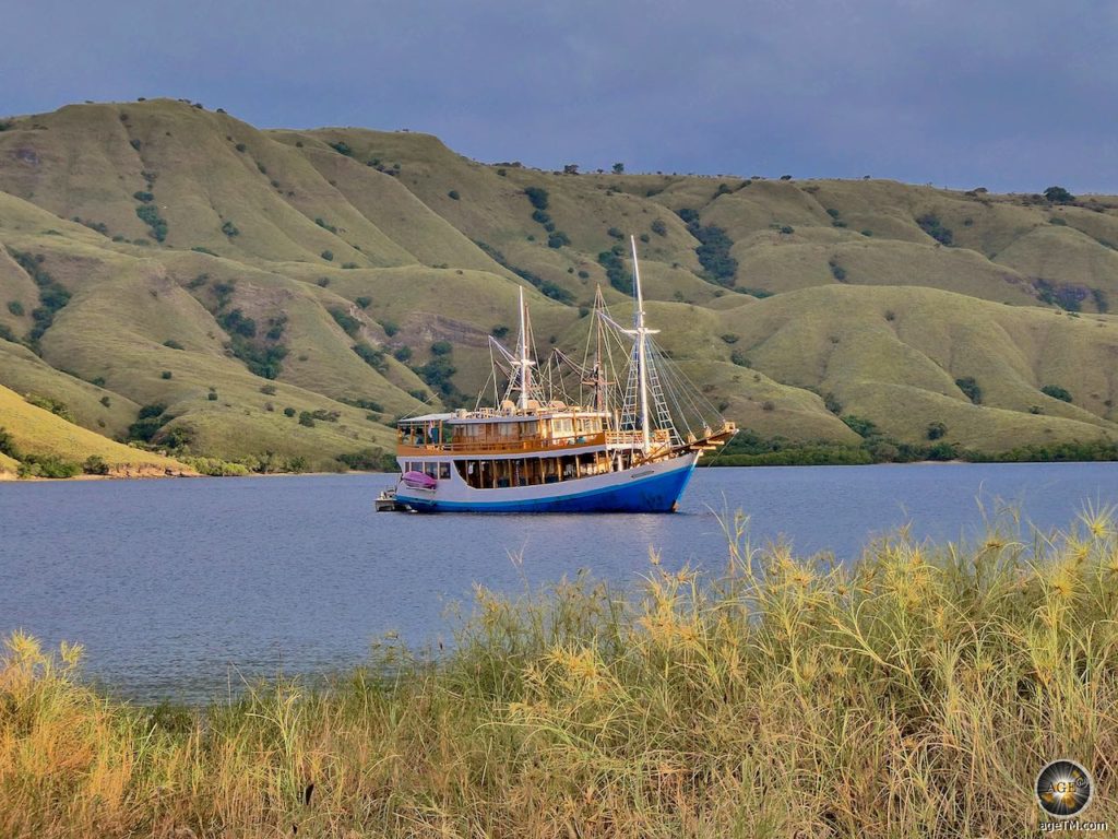 Ausflüge und Touren im Komodo Nationalpark - Besuche Komodo - Things to do in Komodo