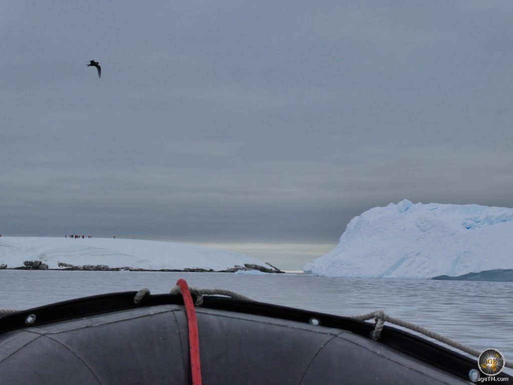 Antarktis-Reise: Ein Rendezvous mit der Antarktis 10 Mit dem Schlauchboot auf dem Weg zum Landgang bei Portal Point, Antarktische Halbinsel auf Antarktis-Kreuzfahrt