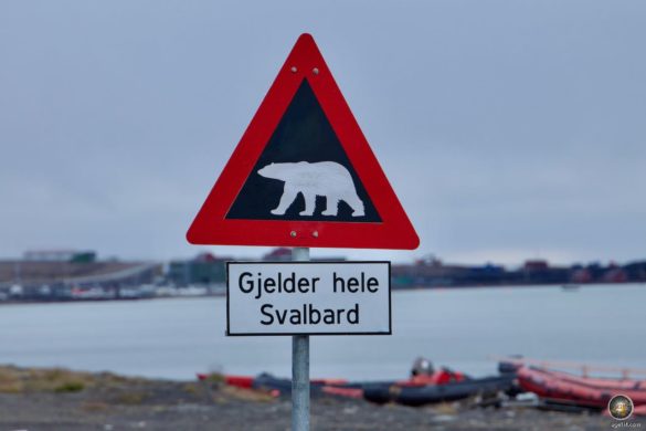 Svalbard Longyearbyen - Verkehrsschild Vorsicht vor Eisbären in Spitzbergen