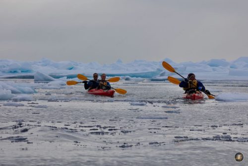 Vier Personen paddeln per Kajak zwischen Meereisplatten in der nähe der Packeisgrenze in Svalbard