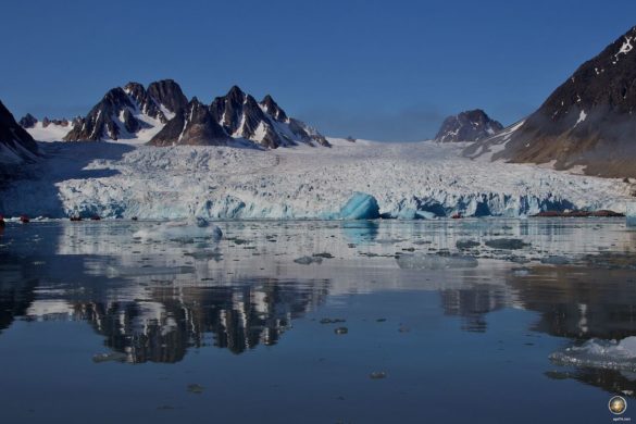 Spiegelung des Gletschers Seligerbreen im glatten Wasser des Liefdefjorden in Svalbard
