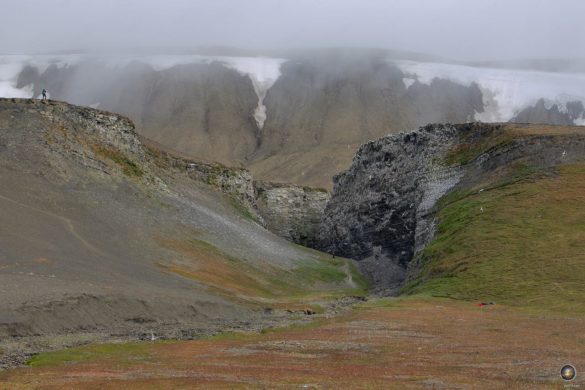 Beeindruckende Landschaft von Kapp Waldburg auf der Insel Barentsøya mit Vogelfelsen, Svalbard
