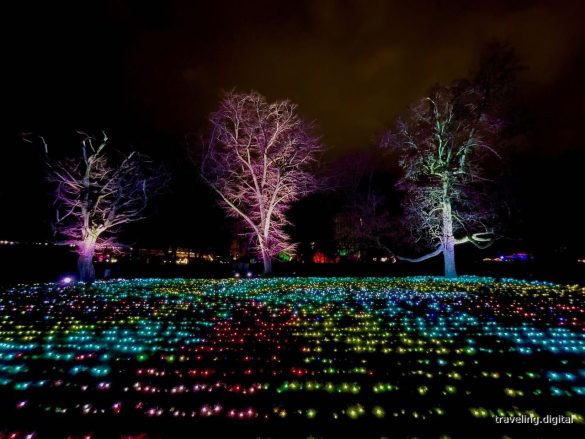 Lichtermeer Lichtinstallation im Christmas Garden im Zoologischen Stadtgarten Karlsruhe