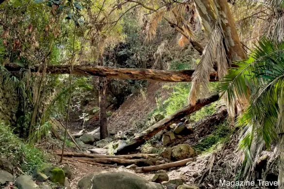 Schöne Landschaft bei der Wanderung im Barranco Del Alamo Wandern Teror Gran Canaria Kanarische Inseln Spanien