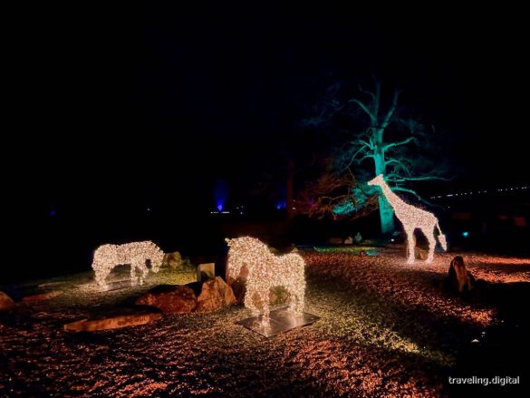Schönheiten der Savanne Lichtfiguren im Christmas Garden im Zoologischen Stadtgarten Karlsruhe