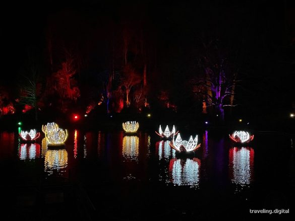 Seerosen Lichtinstallation im Christmas Garden im Zoologischen Stadtgarten Karlsruhe