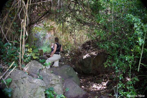 Wanderung in der Alamo Schlucht bei Teror Wandern Gran Canaria Kanarische Inseln Spanien
