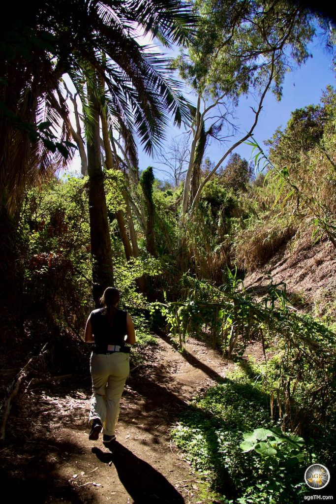 Schöne Landschaft beim Wandern im Barranco Del Alamo Teror Gran Canaria Kanarische Inseln Spanien