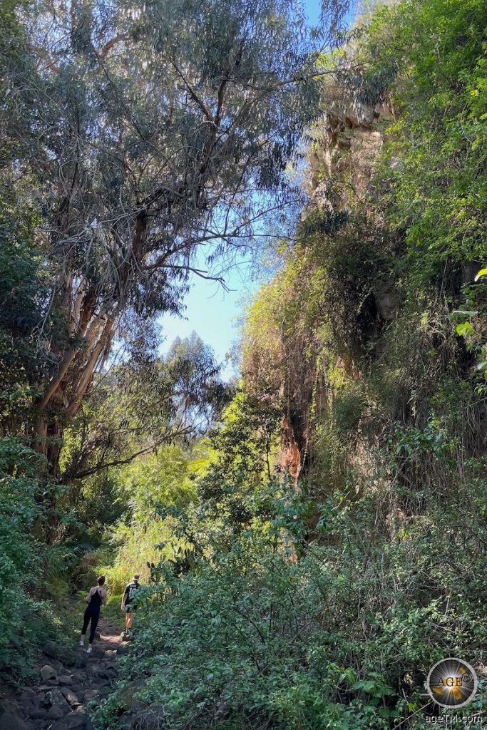 Wanderer im Barranco Del Alamo Teror Gran Canaria Wanderung Kanarische Inseln Spanien