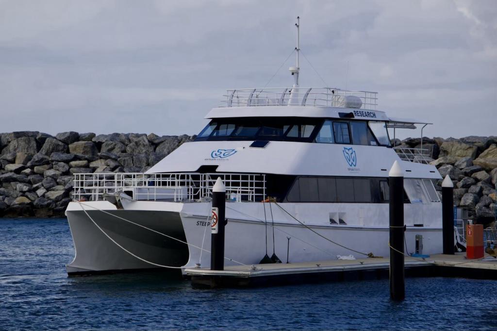 Whale Watching Western Australia Katamaran am Pier. Ein moderner weißer Katamaran von Whale Watch Western Australia liegt im Hafenbecken. Auf dem Schiffsbereich steht das Wort RESEARCH.
